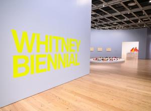 nstallation view of Whitney Biennial 2026 Photograph by Darian DiCanno/BFA.com. © BFA 2026