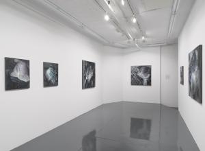 Installation view of Bea Scaccia: With their Striking Features, 2022 at  JDJ Tribeca.