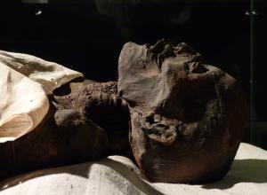 The mummy of Ramses I was looted from Egypt around 1860 and held in various private collections in Canada and the US up until 2003. The mummy is currently on display in the Luxor Museum.