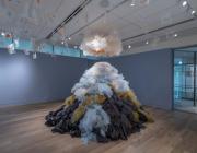 Installation View of Fervor: Illuminating the Spirit of Nature