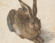 Albrecht Dürer, Young Hare, 1502. Watercolour, body colour, heightened with opaque white.