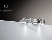 AWNL Interstellar Meteorite Rings. PR Image