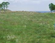 Betsy on one of the Wyeth's islands. Courtesy of and photo by Peter Ralston.
