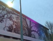 The aluminum “Shimmer Wall” displayed on the side of the Raleigh Convention Center depicting a large oak tree.