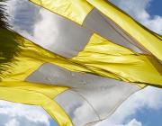 Felecia Chizuko Carlisle, My Vessel is Healthy and I Request Free Practique, 2019