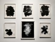 A Love Worth Fighting For - Exhibition Image