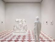 LGDR, Rear View Installation Image