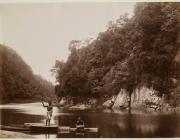 Navua River Scene, Fiji