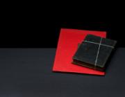 Vadim Gushchin's Circle of Reading, 2010