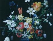 Siri Thorson, Polaroid from the series Portrait of the San Juan Islands