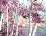 SPRINGBREAK ARTSHOW 2020 - Jessica Lichtenstein - Do They Make a Sound Pastel - 2020 - c print on acrylic - The Untitled Space