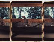 William Wegman, Sent, 1991. Color Polaroids, each 24 x 20 in.