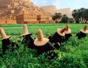 Steve McCurry, Wadi Hadramaut, Yemen, 1999.