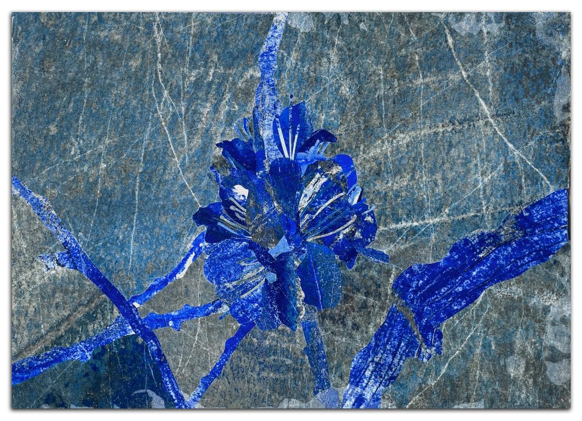 Hamra Abbas, Flower Studies 12, 2023. Lapis lazuli on marble.