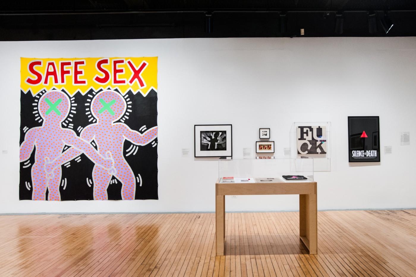 Installation view, Art After Stonewall, Grey Art Gallery