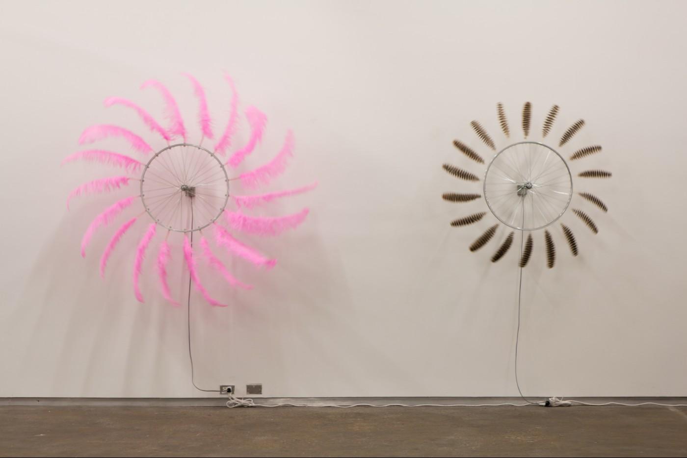 Paola Pivi: Ma’am, April 16 – August 21, 2016, Dallas Contemporary. Installation view.