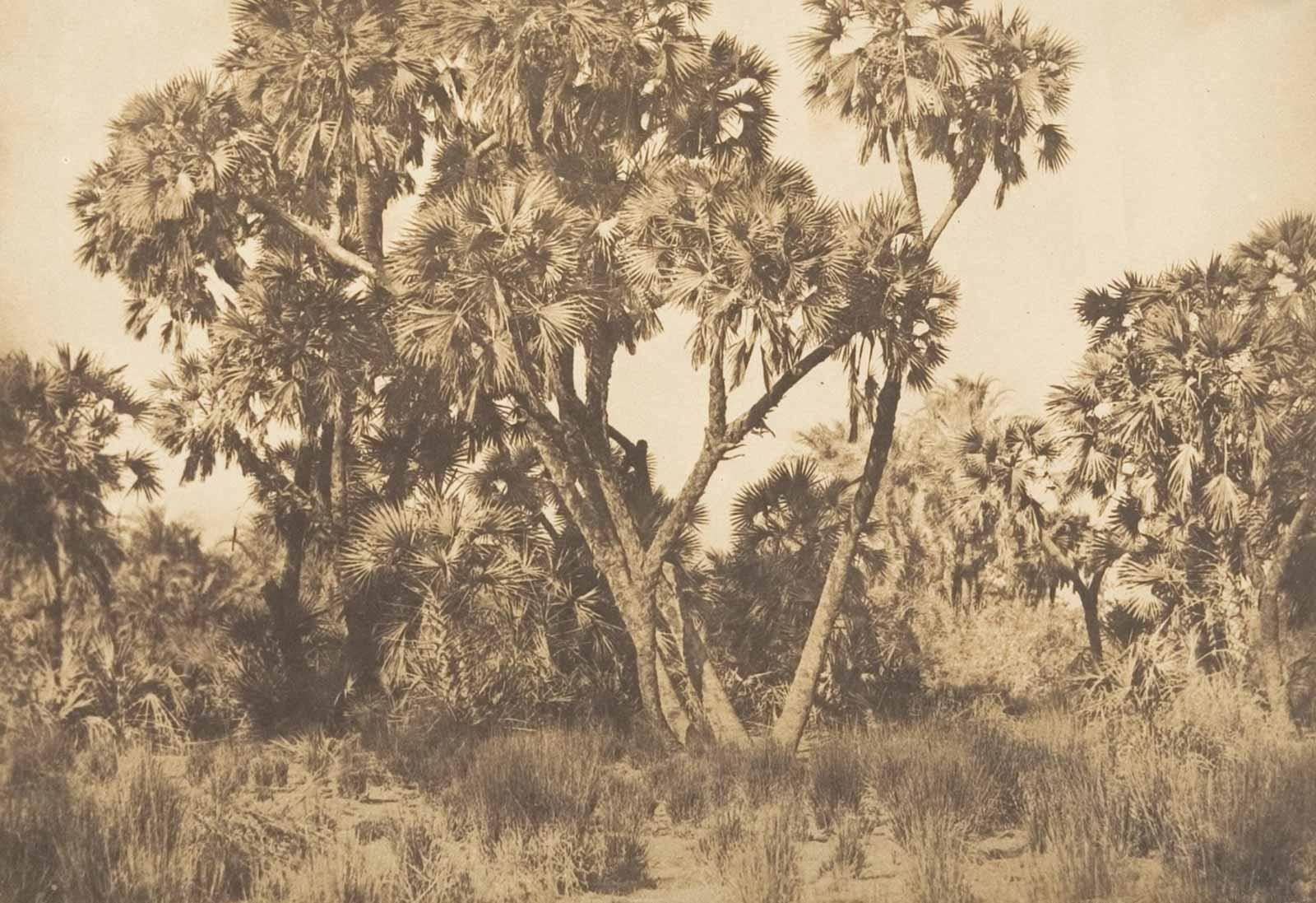 Writer Who Pioneered Travel Photography