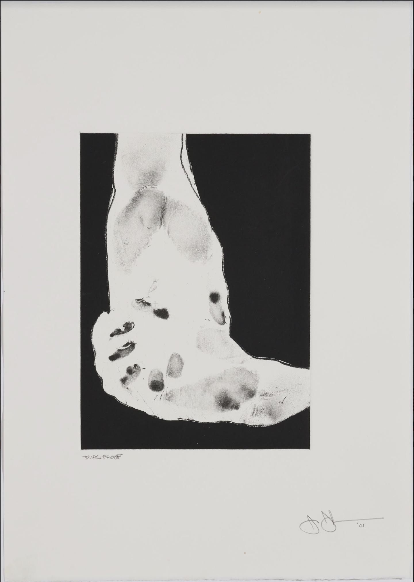 Jasper Johns, Untitled, 1998. Intaglio. 22 1/4 × 14 3/4 in. (56.5 × 37.5 cm). John Lund/Low Road Studio. Trial Proof. 