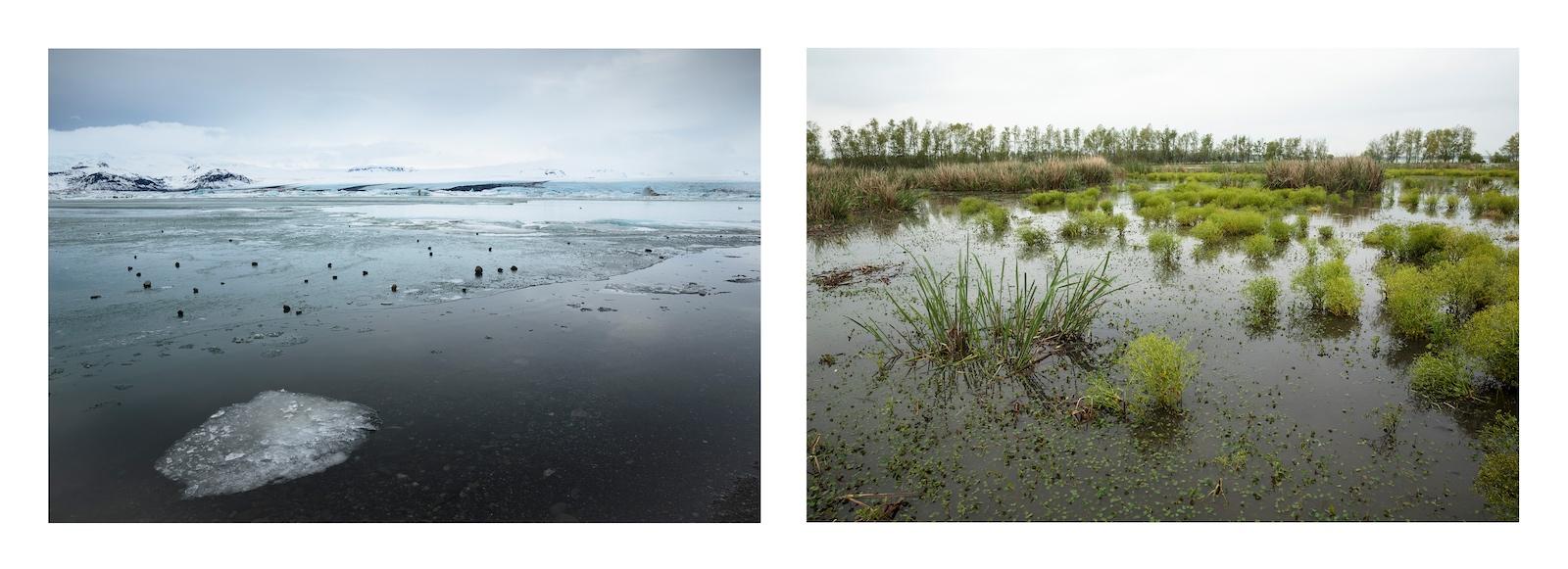 Left: Tina Freeman, Glacial lagoon in southern Iceland.  Right: Tina Freeman, A healthy freshwater marsh near Morgan City.