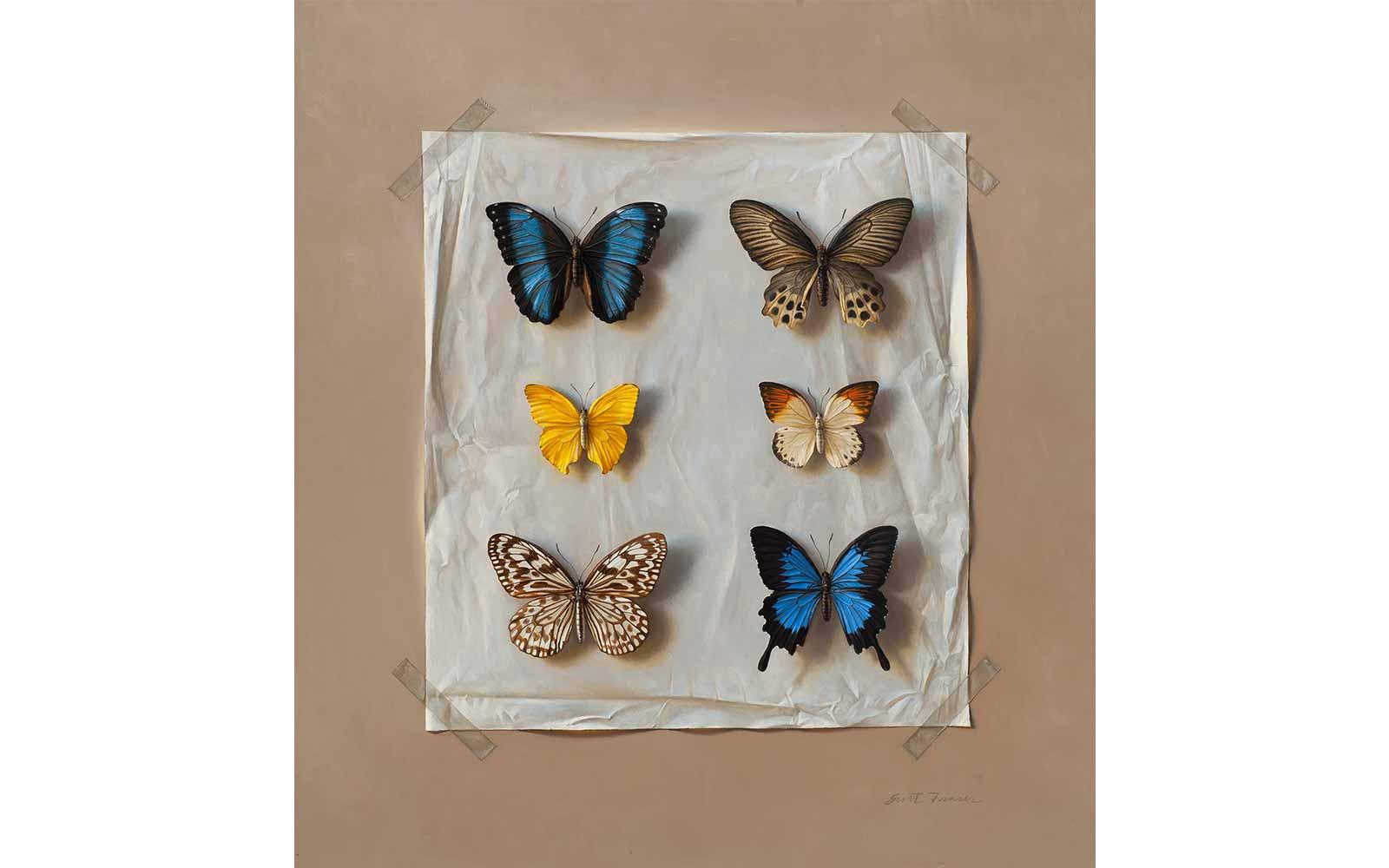 Scott Fraser, Six Butterflies. Oil on board. 23.5 x 22 inches.