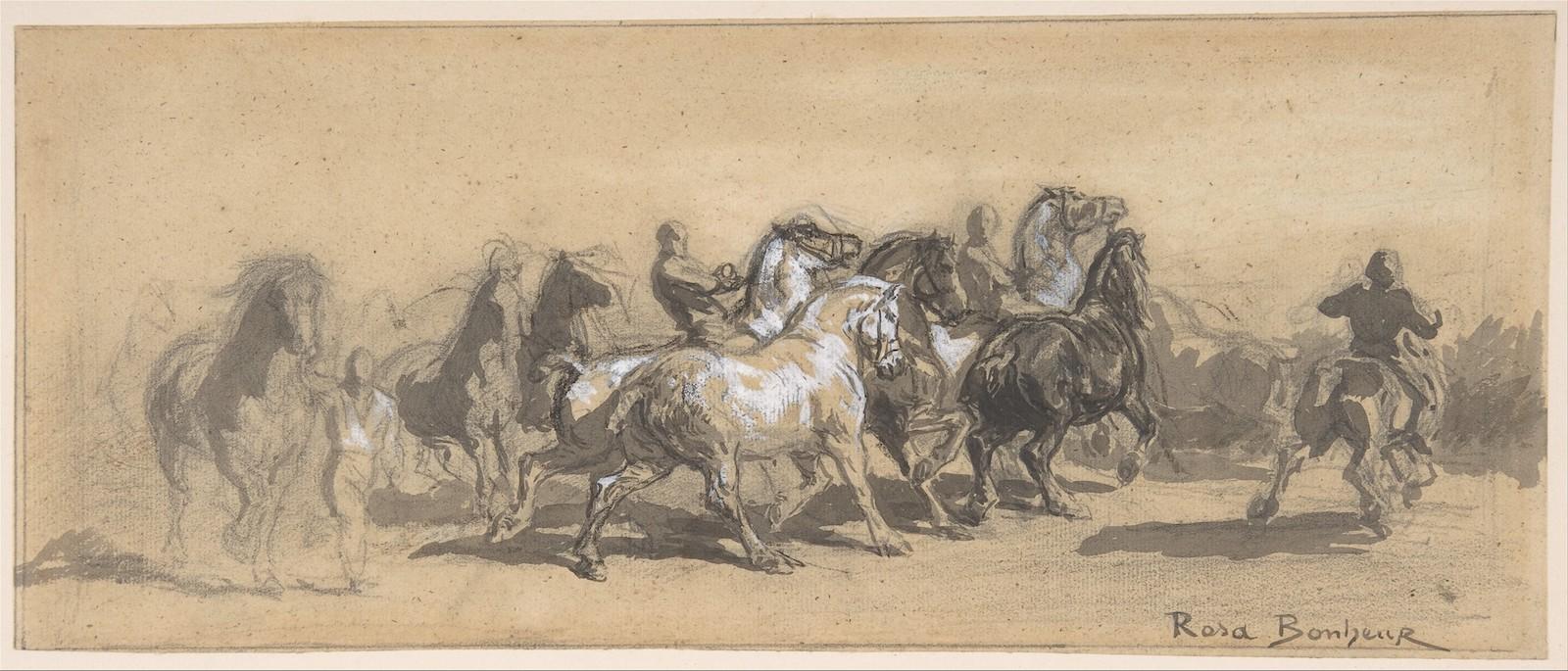 Rosa Bonheur, Study for The Horse Fair, 19th century. Black chalk, gray wash, heightened with white. 5 3:8 x 13 1:4 in. (13.7 x 33.7cm). Bequest of Edith H. Proskauer, 1975. 1975.319.2.