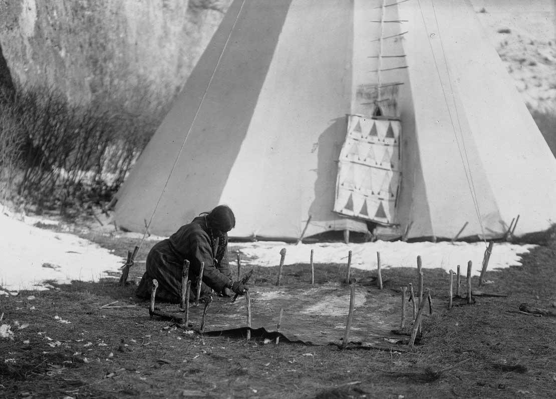 Apsaroke woman scraping hide that is secured to the ground by numerous stakes, tipi in background, 1908.