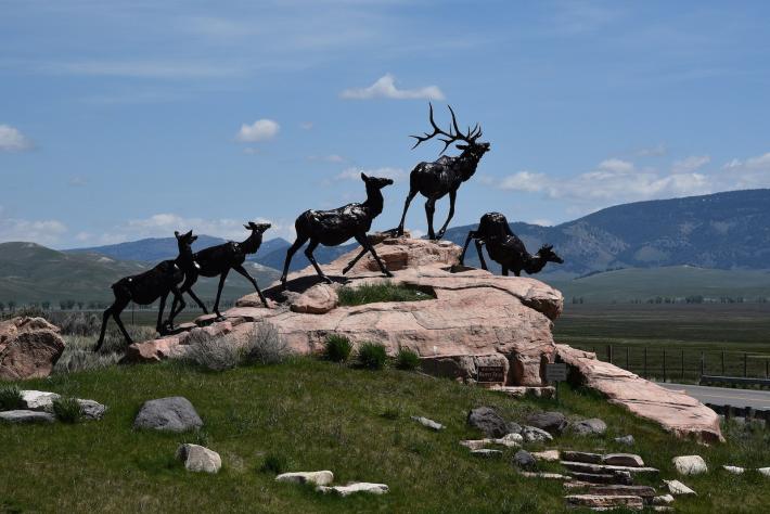 Wapiti Trail, Bart Walter, National Museum of Wildlife Art, Wyoming