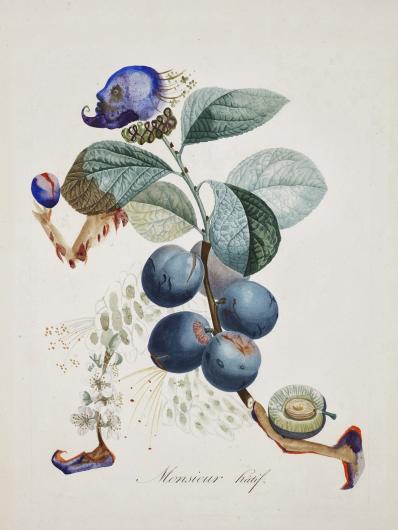 Dalí, Prunier hâtif (Hurrying Plum Tree) from the FlorDalí series, 1969. Photolithograph of gouache and engraving on print. 