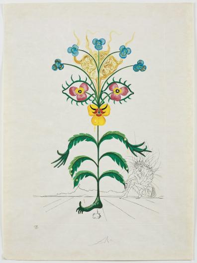 Dalí, Viola cogitans (Self-Portrait Pansy) from the FlorDalí series, 1968. Photolithograph and engraving.