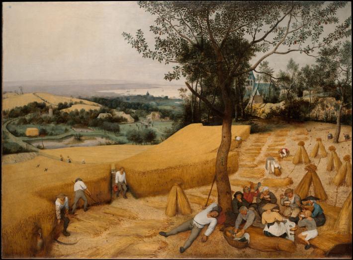 Pieter Bruegel the Elder painting of men harvesting a field of hay