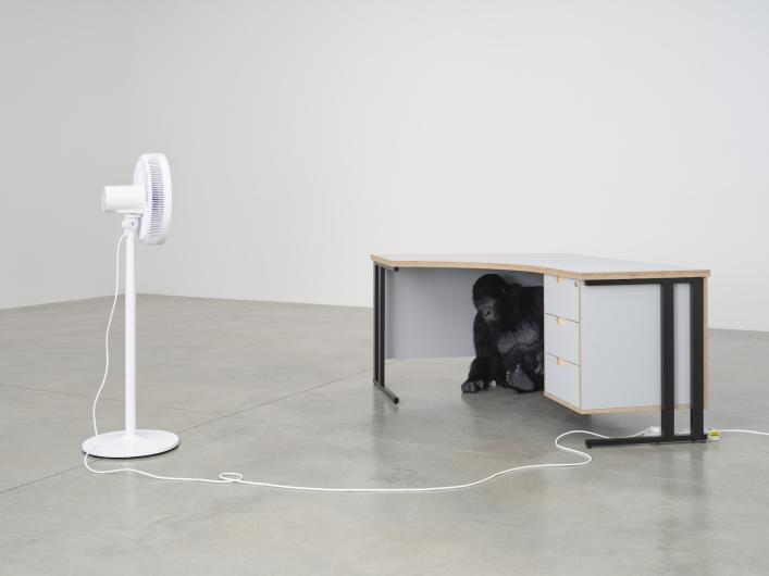 Ryan Gander, School of languages, 2023. Animatronic gorilla, audio, desk, fan. Installed: 49 1/4 x 133 7/8 x 90 1/2 in | 125 x 340 x 230 cm: Audio: 27:16.
