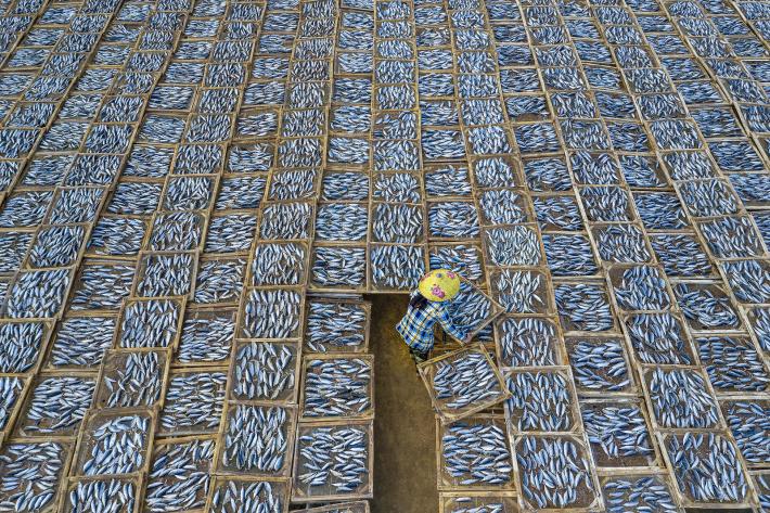 A woman dries trays of fish at Long Hai fish market in the Vung Tau province of Vietnam