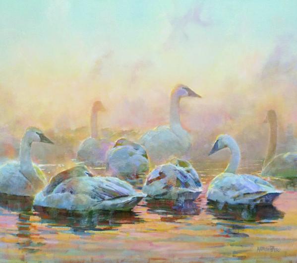 Andrew Peters painting of swans in the mist floating on water