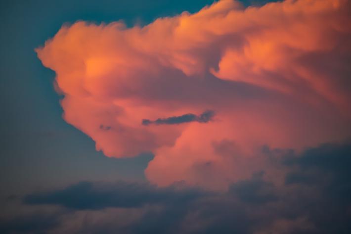 Pink Cloud. All images Copyright 2021.