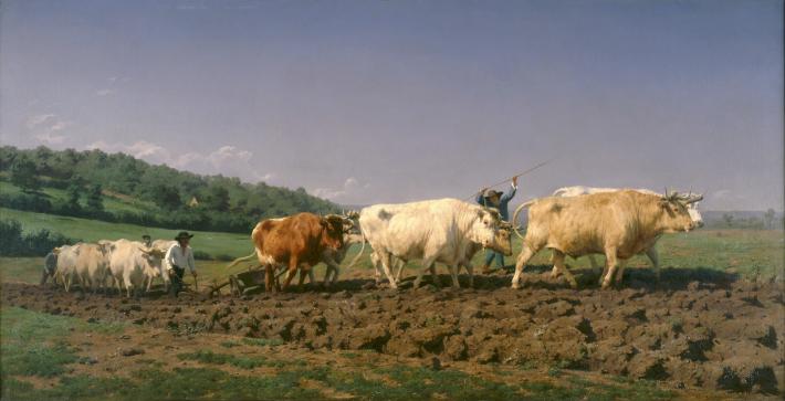 Plowing Nivernais Rosa Bonheur, Oil on Canvas, 1849. Musee D’Orsay. Wikimedia Commons.r
