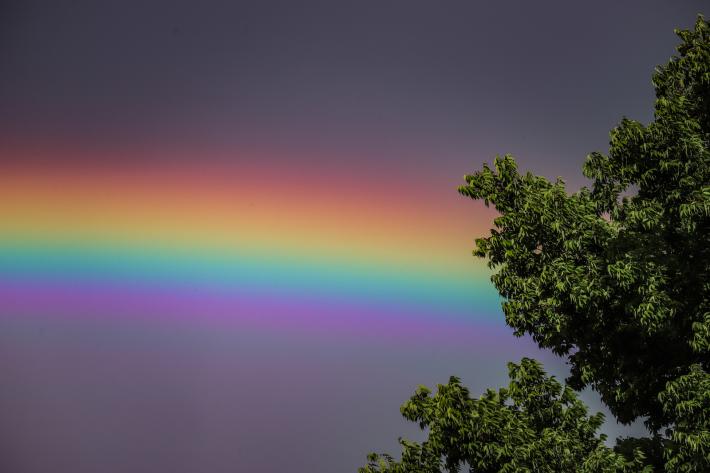 Rainbow. © Diane Allison, 2021. 