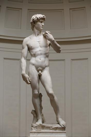 Michelangelo, David, 1501-04. Marble. Galleria dell'Accademia, Florence. Wikimedia Commons.