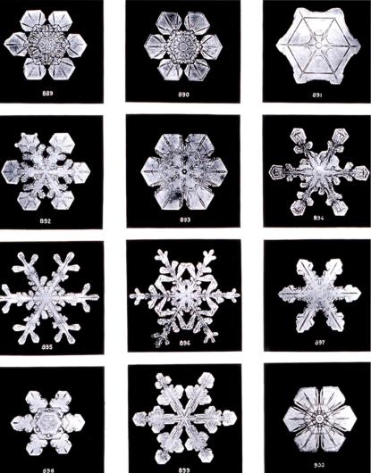 photos of snow crystals