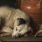 Gerrit Dou, Sleeping Dog, 1650.